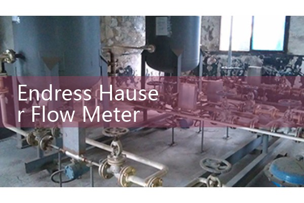 Endress Hauser Flow Meter Software Integration: FieldCare and DeviceCare Calibration Tools